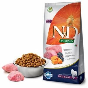 N&D Pumpkin Balkabaklı Kuzulu Yaban Mersinli Maxi Giant Tahılsız Yetişkin Köpek Maması 12 Kg