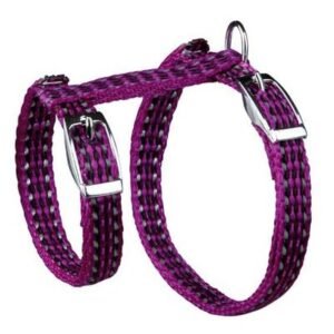 Trixie Fosforlu Kedi Göğüs Tasma Seti 22-42 Cm 10 Mm