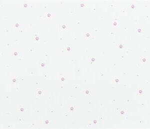 Trixie Kedi ve Köpek Mama ve Su Kabı Servisi 44x28 Cm Beyaz