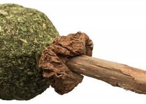 Trixie Matatabi ve Catnipli Kedi Oyuncağı 11 Cm